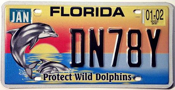 Protect Wild Dolphins