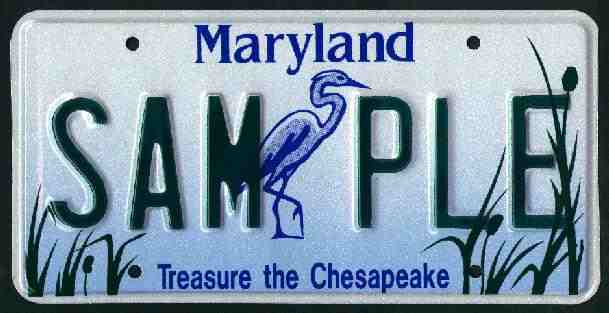 Treasure the Chesapeake